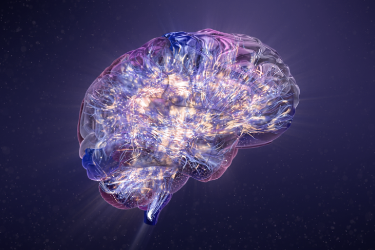 A glimpse inside the brain, © Fusion Animation, 2025